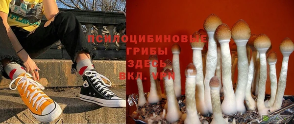 гидра Волоколамск