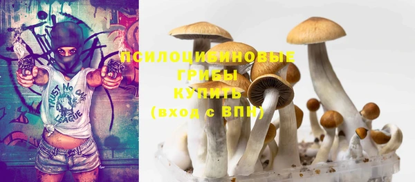 гидра Волоколамск