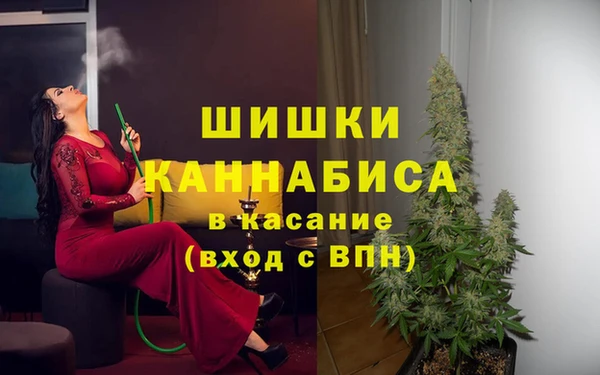 гидра Волоколамск