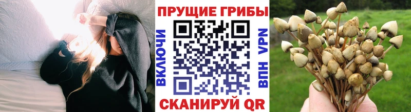 Галлюциногенные грибы мицелий  Казань 